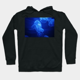 Moon Jelly Hoodie